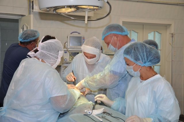 Я воспел бы каждого в стихах