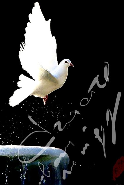 Всем и каждому