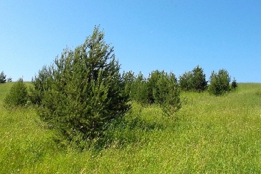 Мы у Божьего порога