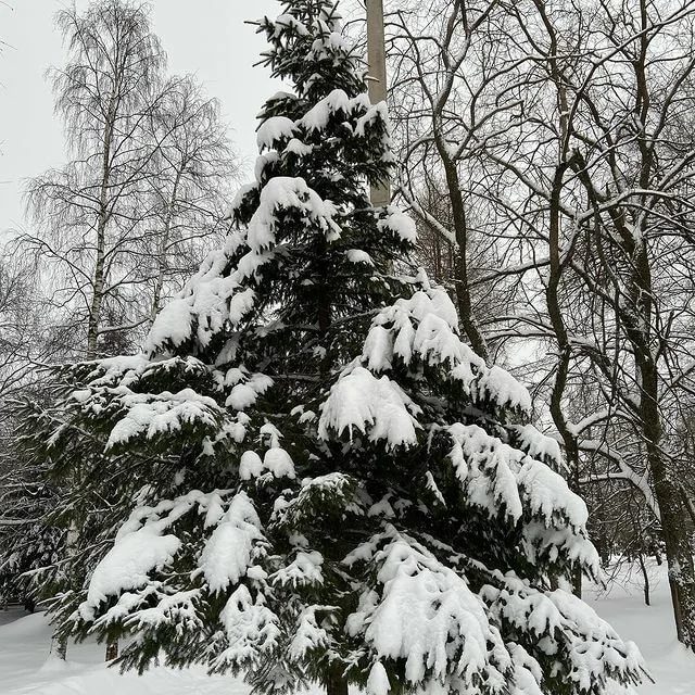 Новогодние подарки...