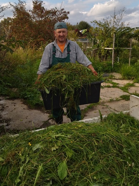 Отзыв на рассказ Маргариты Петровой Олигарх
