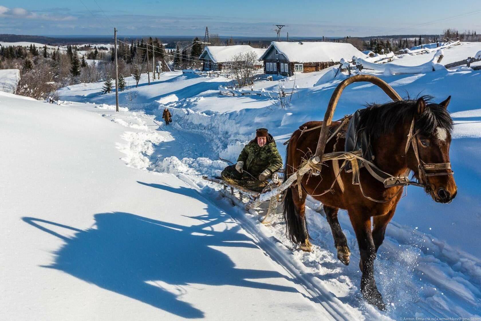 Деревня конь татарстан. Деревня зимой. Лошади в деревне. Лошадь с санями. Зима деревня лошадь.