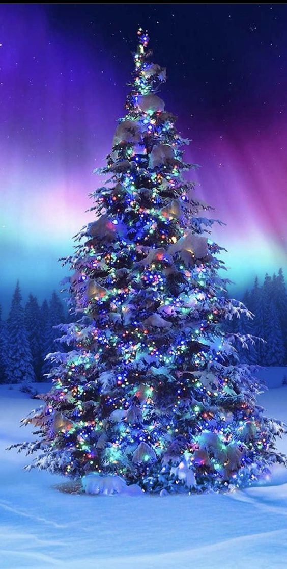 Лесная ёлка