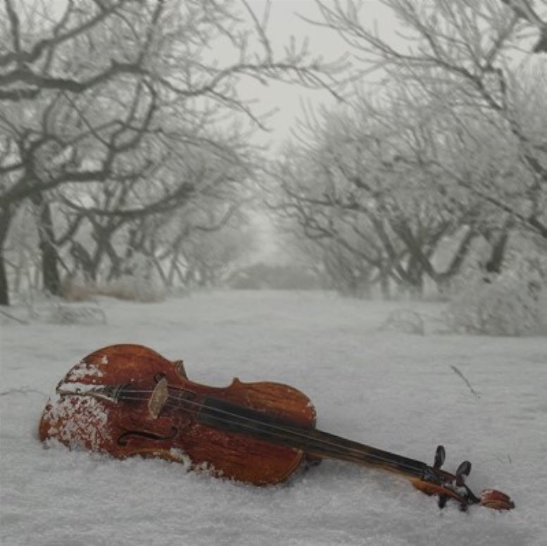 Зима музыка автор. Скрипка на снегу. Скрипка зима. Виолончель в снегу. Рояль в снегу.