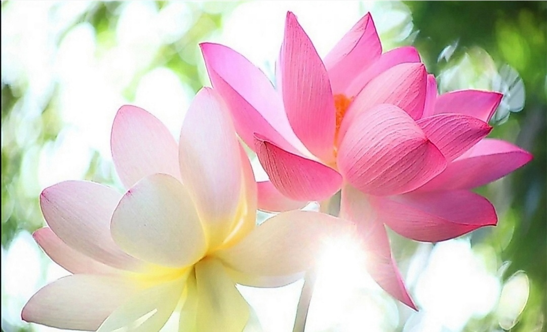 В каждый шаг земной, в каждый Миг вечный...