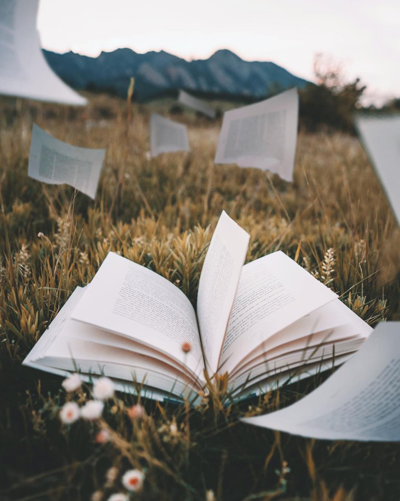 Красивые картинки с книгами