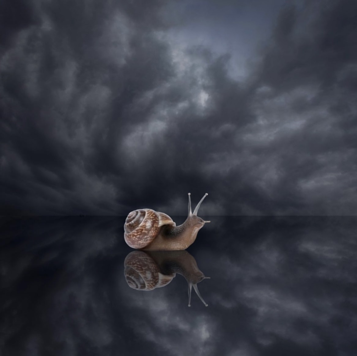 Твердость поступи