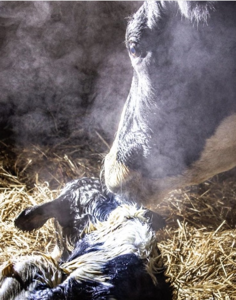 С днем рождения!