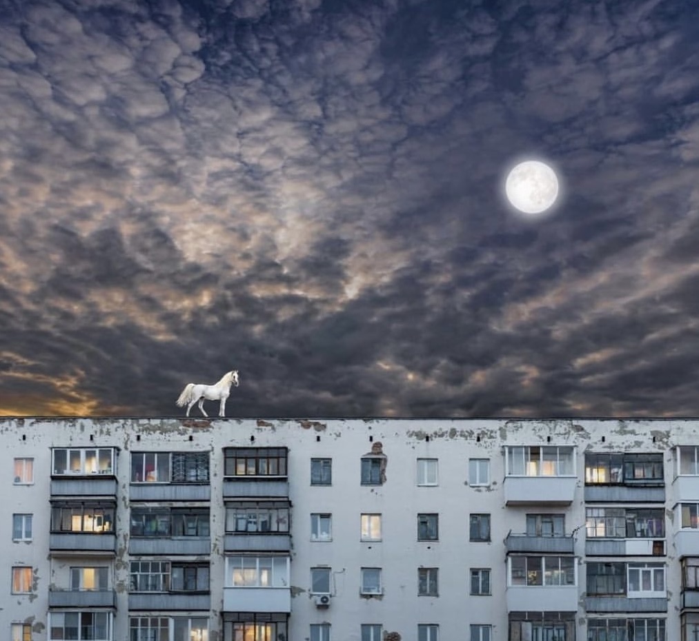 Ходит конь по городу