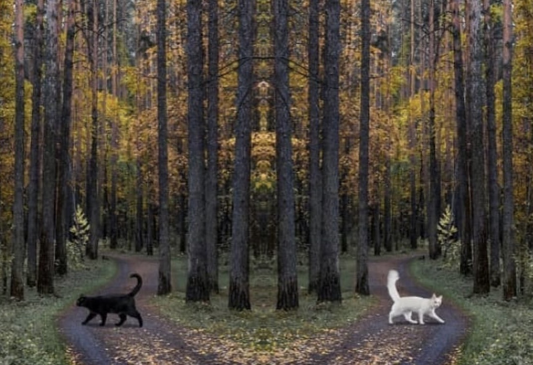 А где же рыжий?