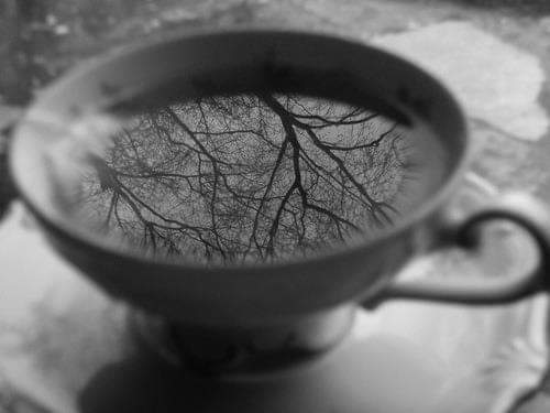 Времена года. Ноябрь