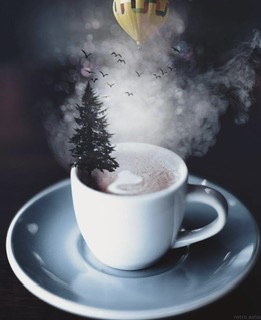 Декабрьский контент