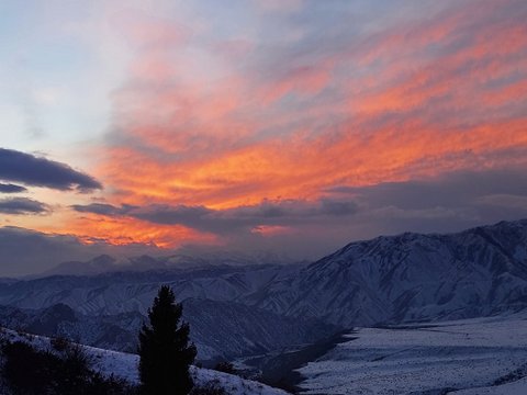 Рождество и боль
