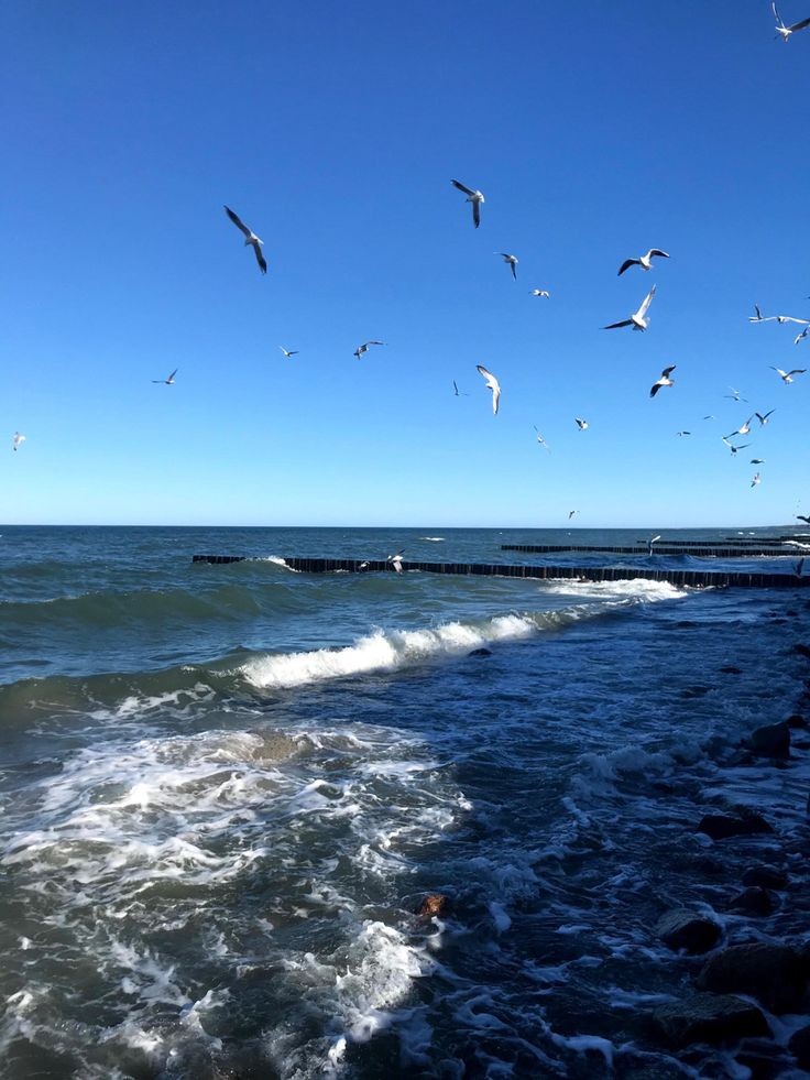 Фрагменты поездки на море