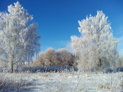 Зимний Слёт Надежд