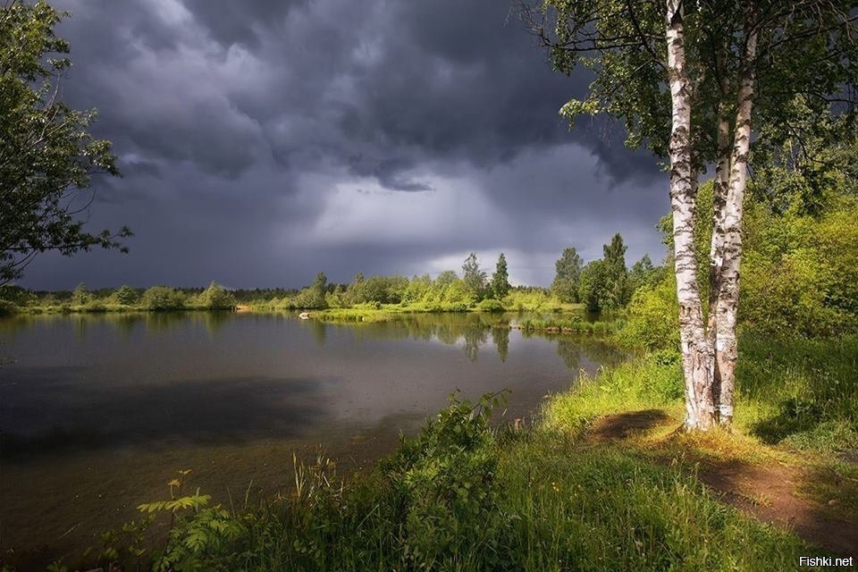 Тёмная завеса за окном