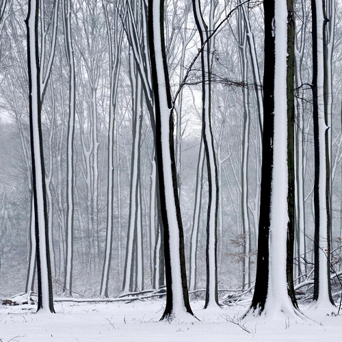 Штрих-код Зимы