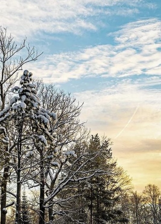 Какая красиво-цветная зима