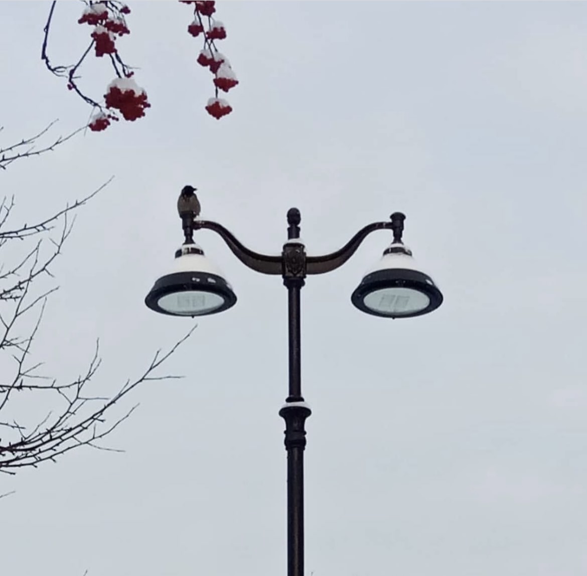 Сказка снов