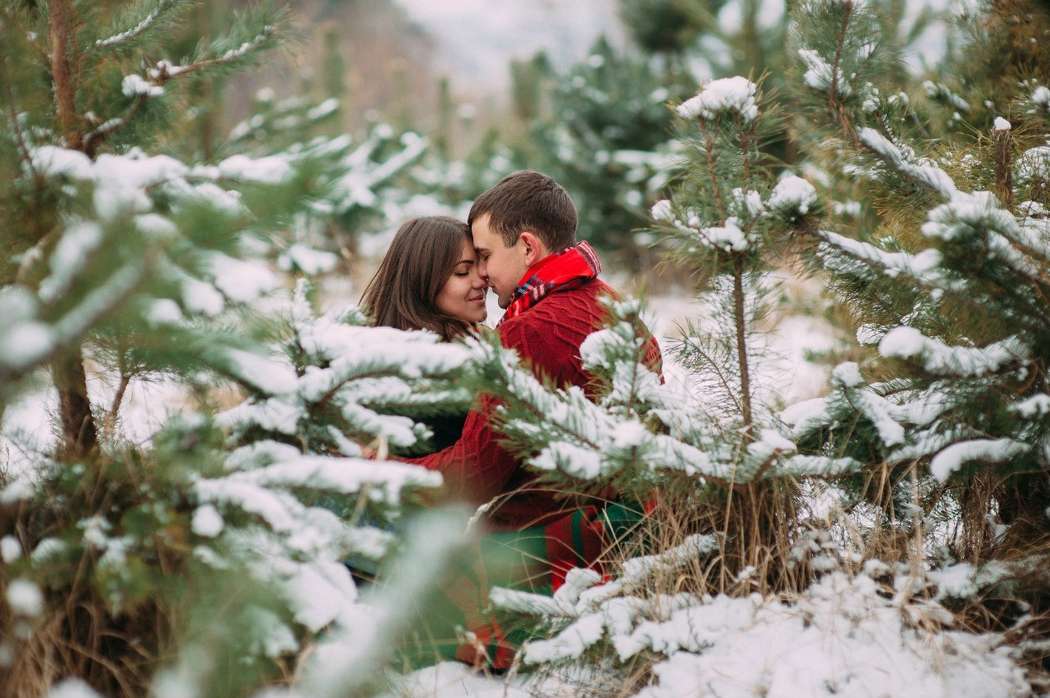 На белых крыльях января