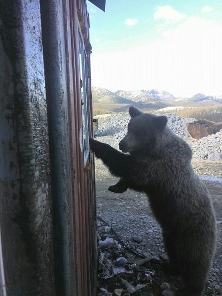 Страданий вечный след