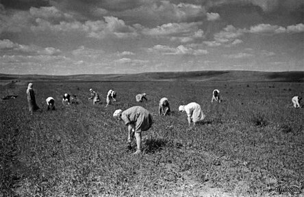 Как бабушка деда на фронт провожала