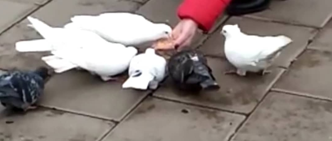 С Рождеством радости в душе