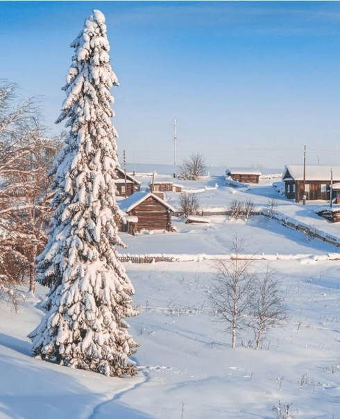 35PHOTO - Марина Мурашова - Деревенька Фотографии, Красота, Экология