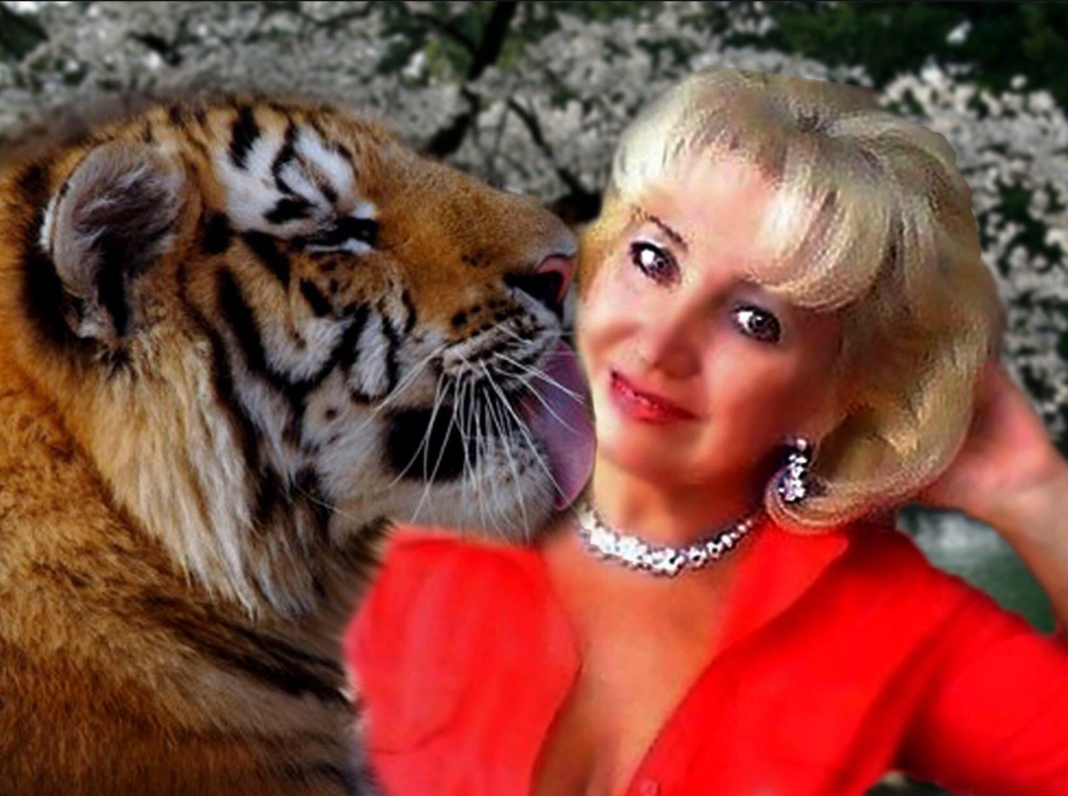 Ты так прекрасна. Посвящение С. Т. 13827