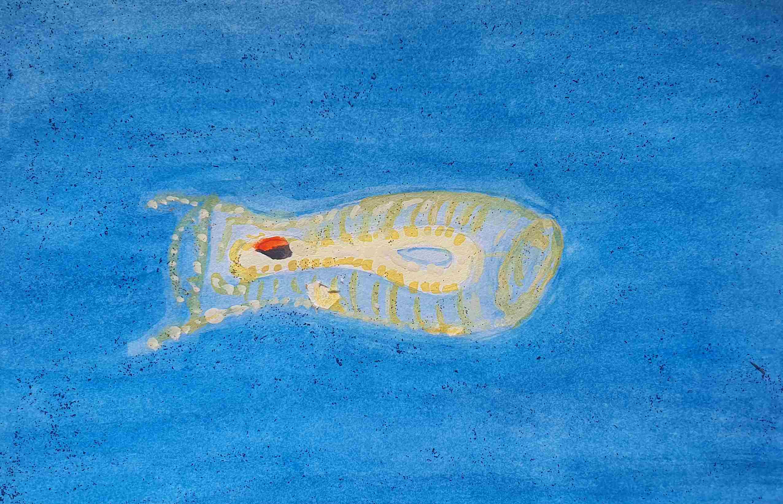 Сальпы морские