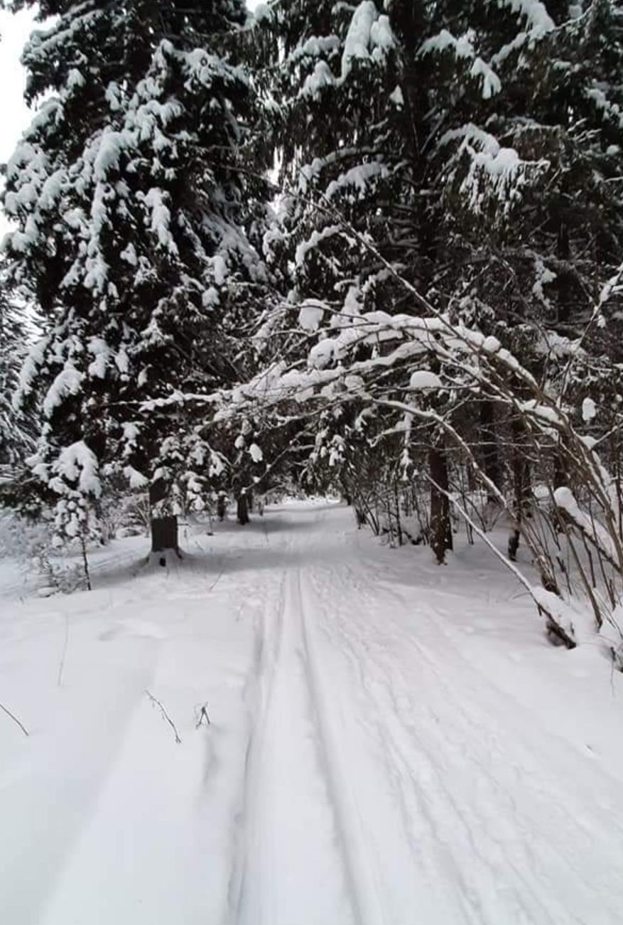 Когда радость бьёт ключом