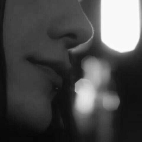 Мордой не вышел