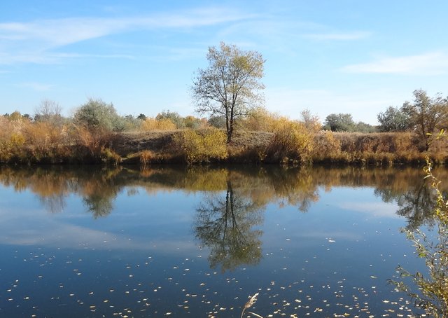 Жизнь наша смысл не потеряла