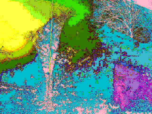 В диком поле конь мой скачет