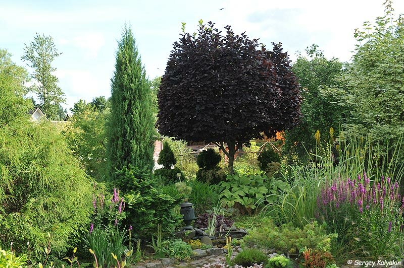 Про Сад Ирины Семёновны Пыжиковой