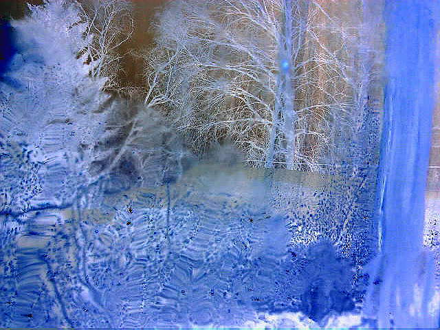 В запоздалую просинь