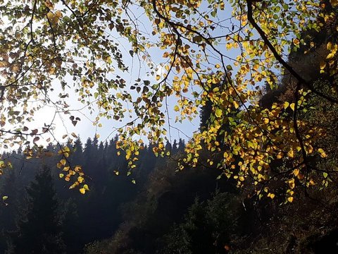 Советы себе