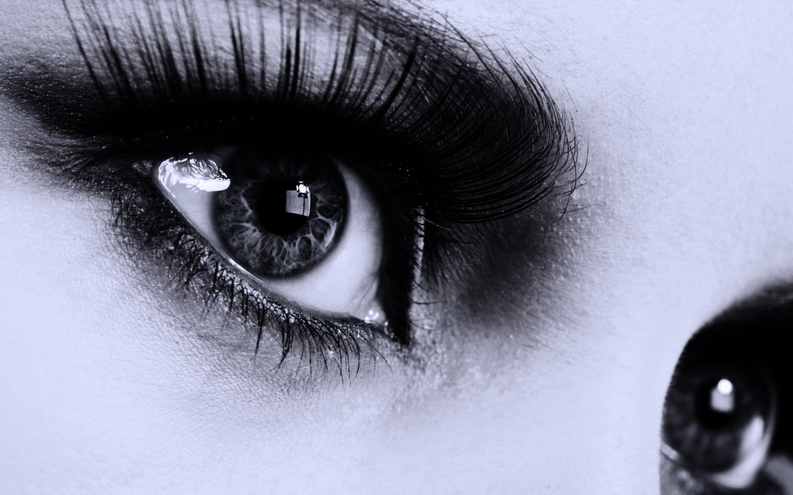 Обои глазки. Красивые глаза. Красивые женские глаза. Глаз черно белый. Глаз картинка.