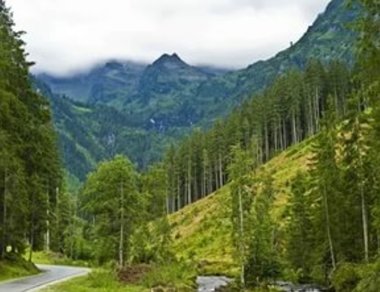 Тайна тайги