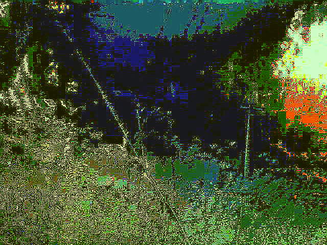 Поскачу по краю поля