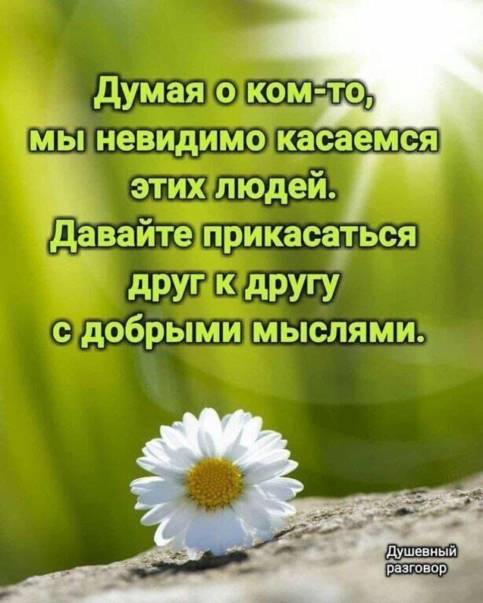 Пожелания спокойствия и душевного равновесия. Доброе утро Мудрые мысли. Мудрые мысли про утро. Добрые пожелания. Хорошие мысли желать добро