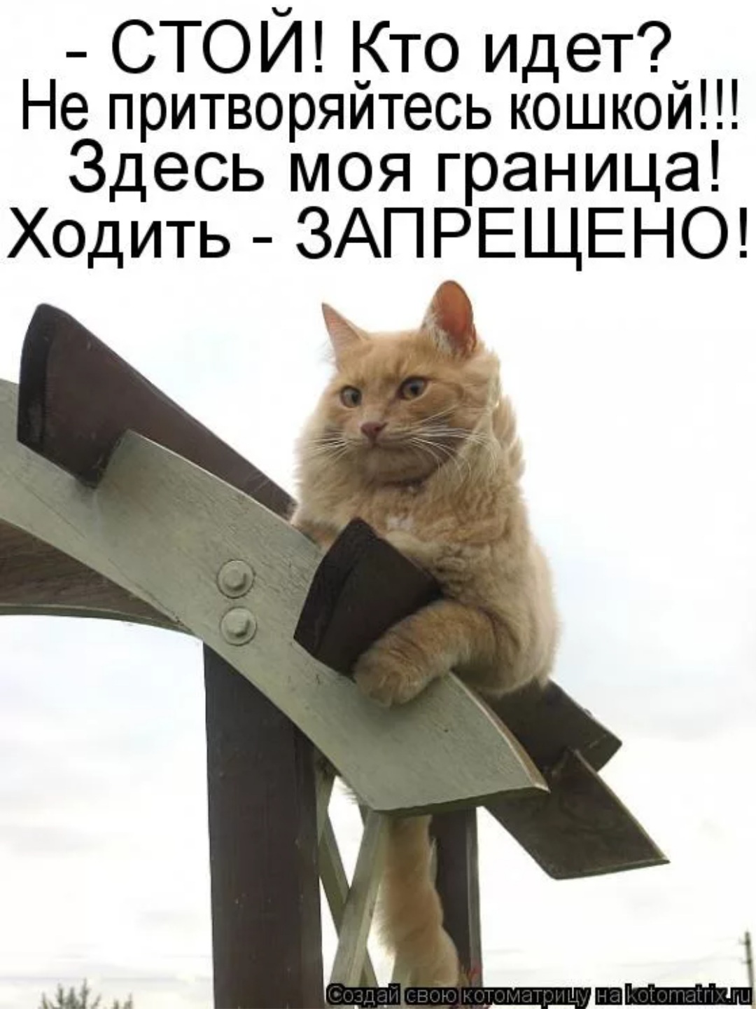 Стой, кто идёт!