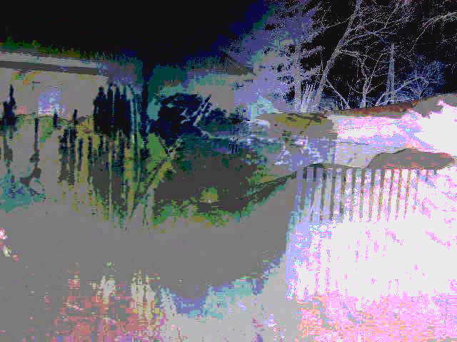 В огне осеннем Вам спасенья нет