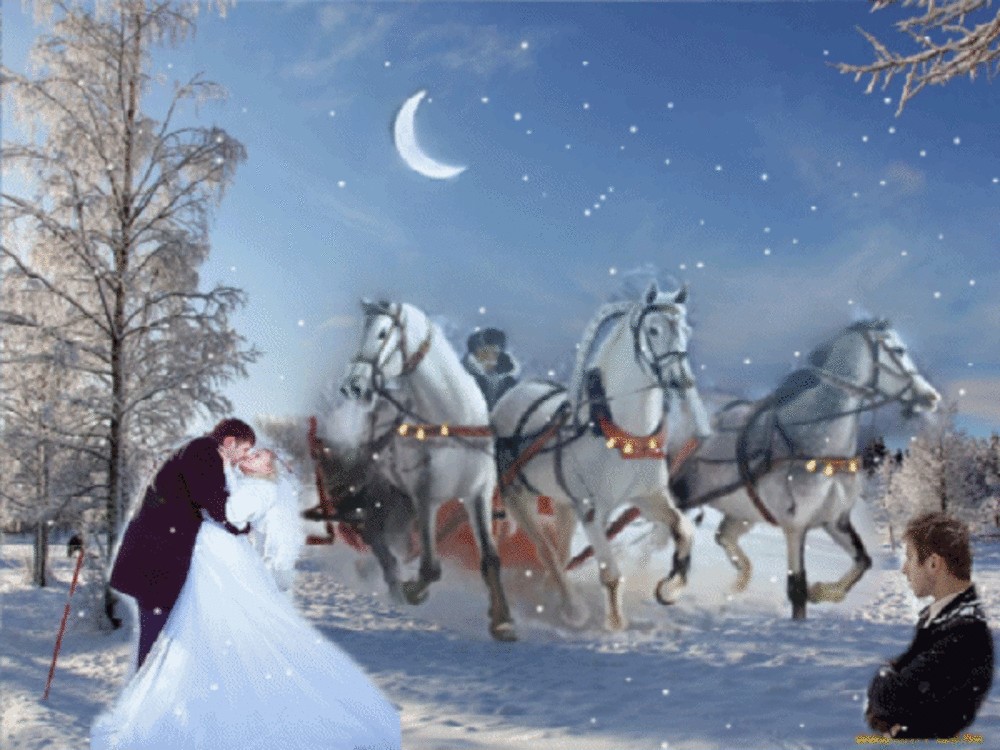 Слушать песню в лунном сиянии снег. Тройка лошадей на снегу. В лунном сиянии снег серебрится. Лошадь в санях зимой. Фотосессия с лошадью зимой.