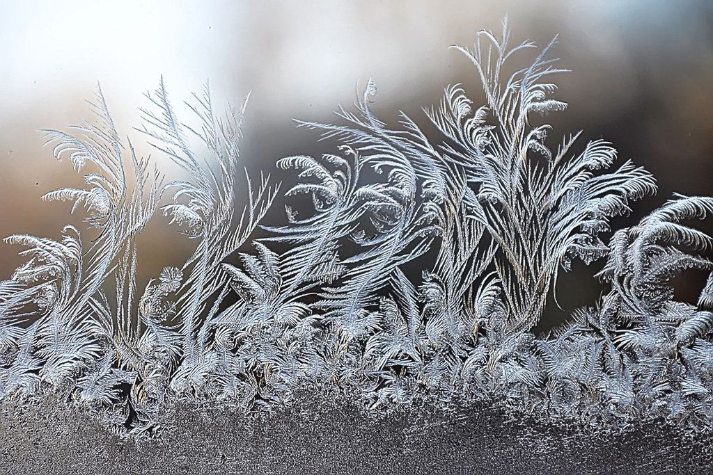 Картина изо льда