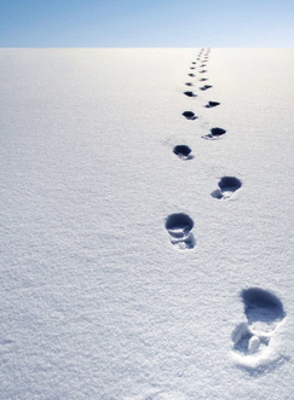 Шаг за шагом, по полюшку белому