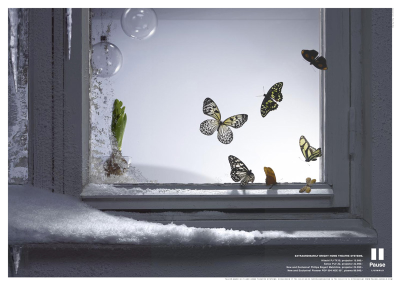 В стекла окон стучал. Зимняя бабочка. Бабочки на окна. Бабочки зимой. Мотылек на окне.