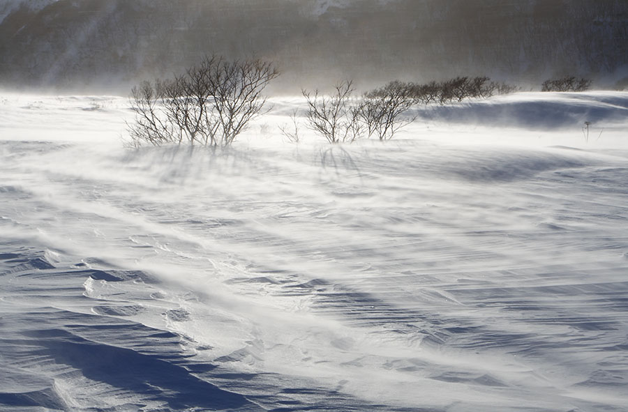 Бежит позёмка