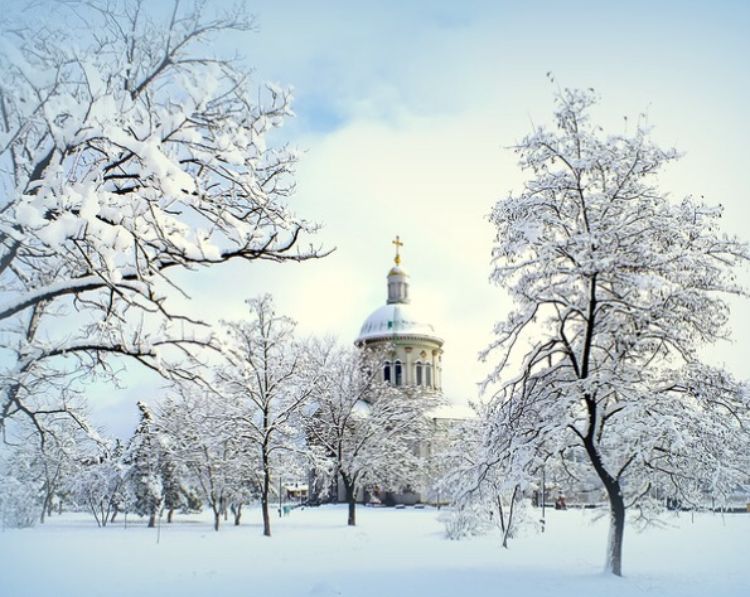 Морозный день