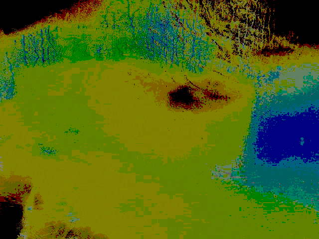 Ольхой наклонюсь